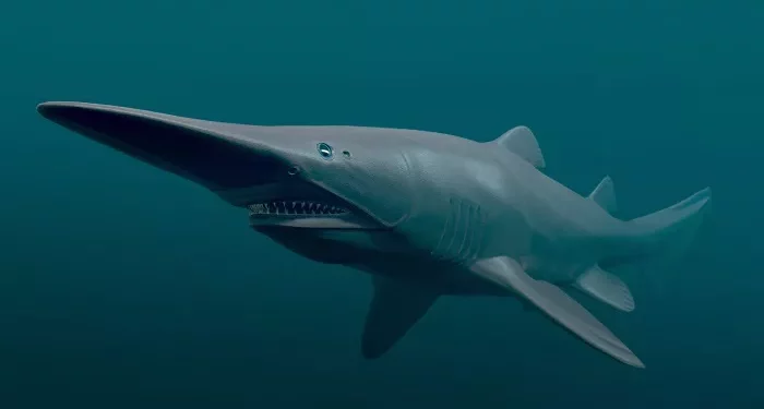 Top 10 Creepiest Animals in the World